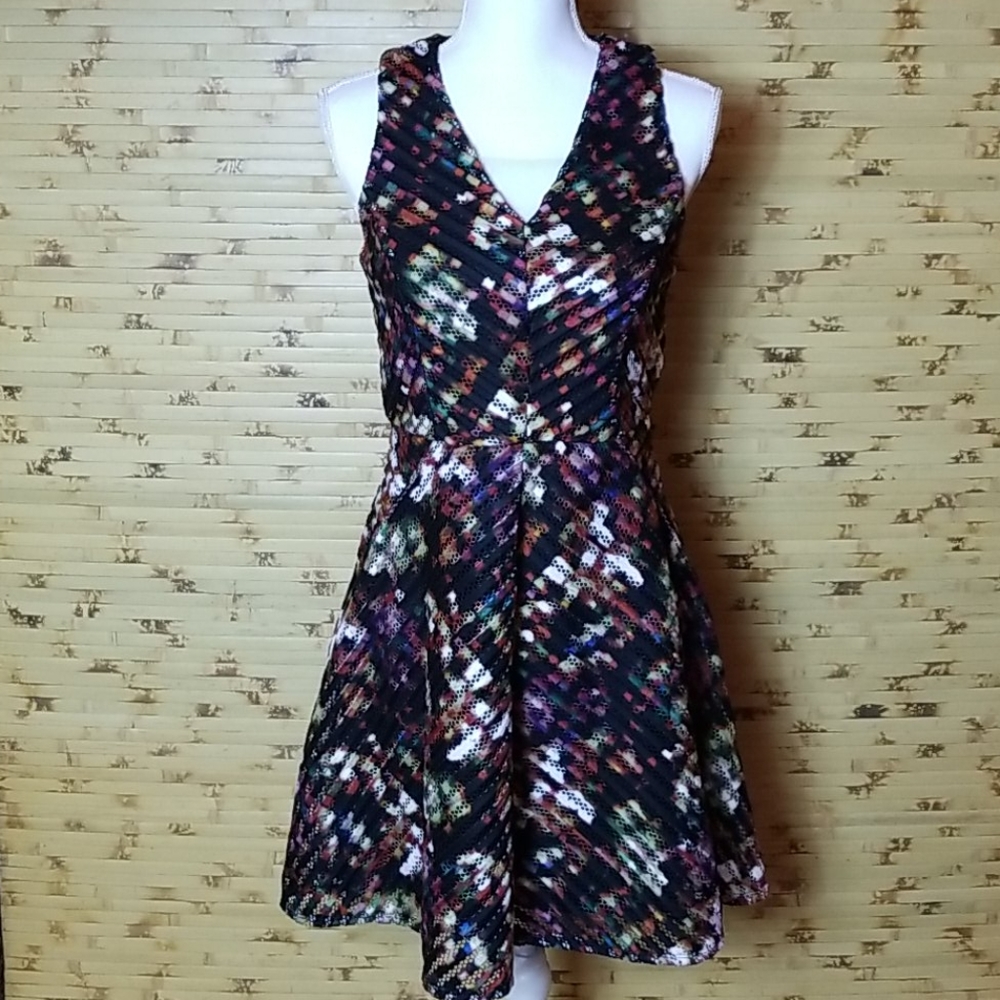 Multi- Colored Skater Dress